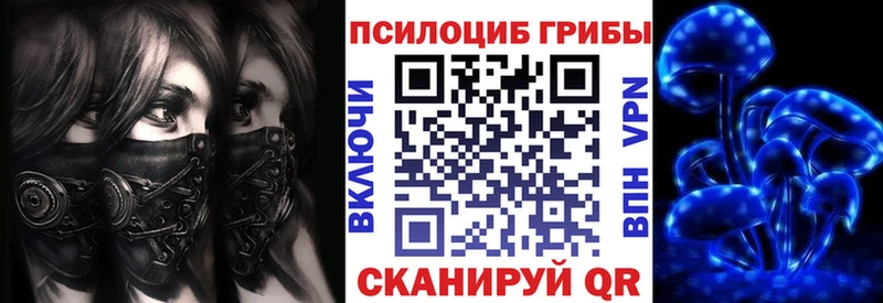Псилоцибиновые грибы Psilocybine cubensis  сколько стоит  Георгиевск 