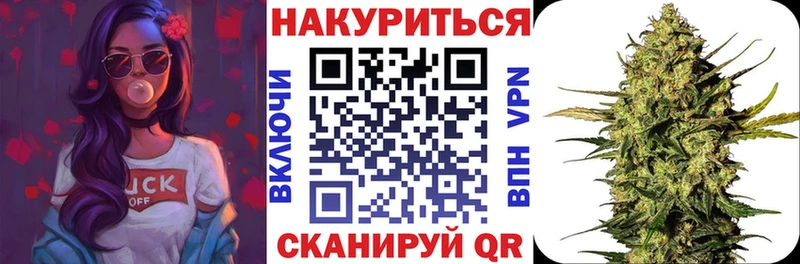 площадка телеграм  Георгиевск  Марихуана сатива 